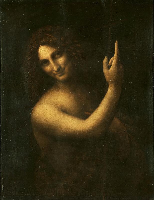 Leonardo  Da Vinci John the Baptist